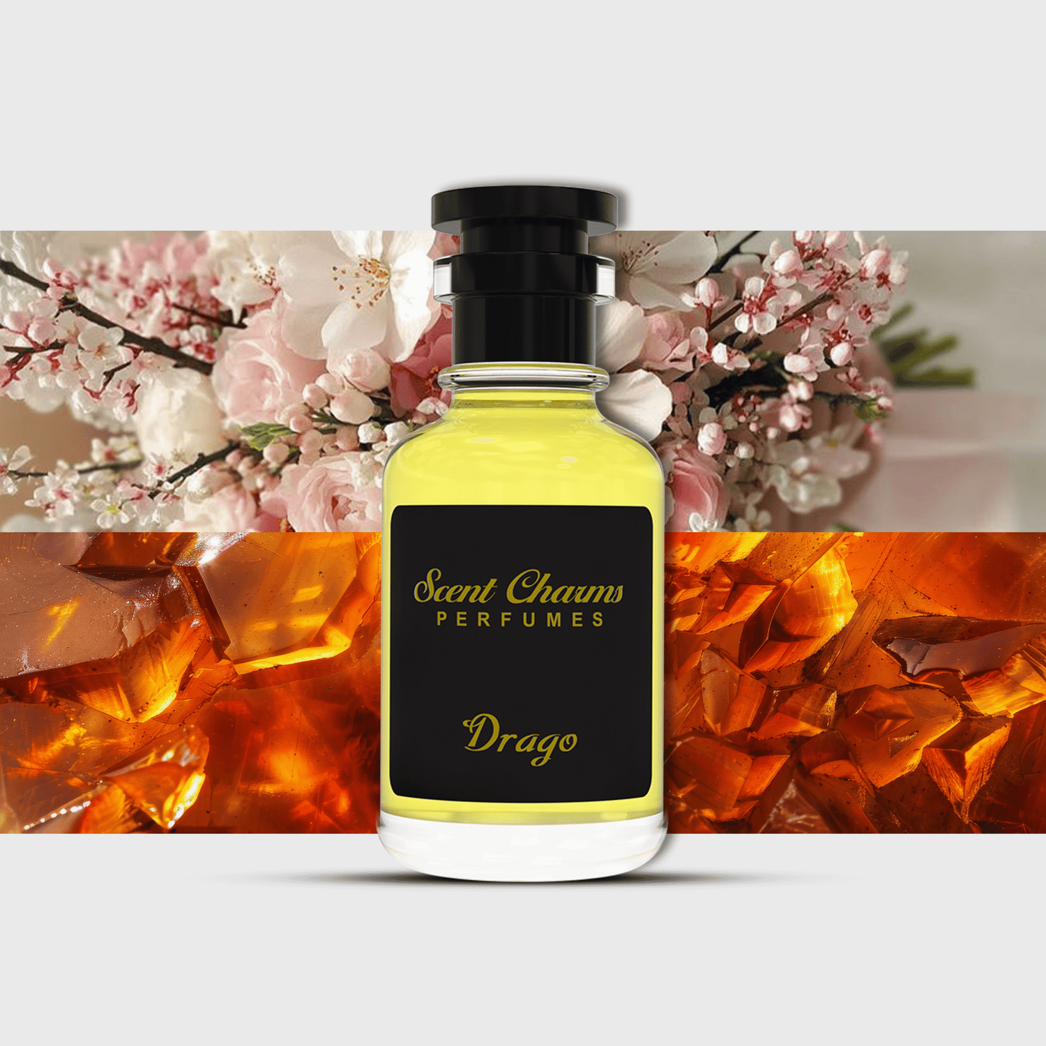 lookbook image shop_this_look_amDhCa