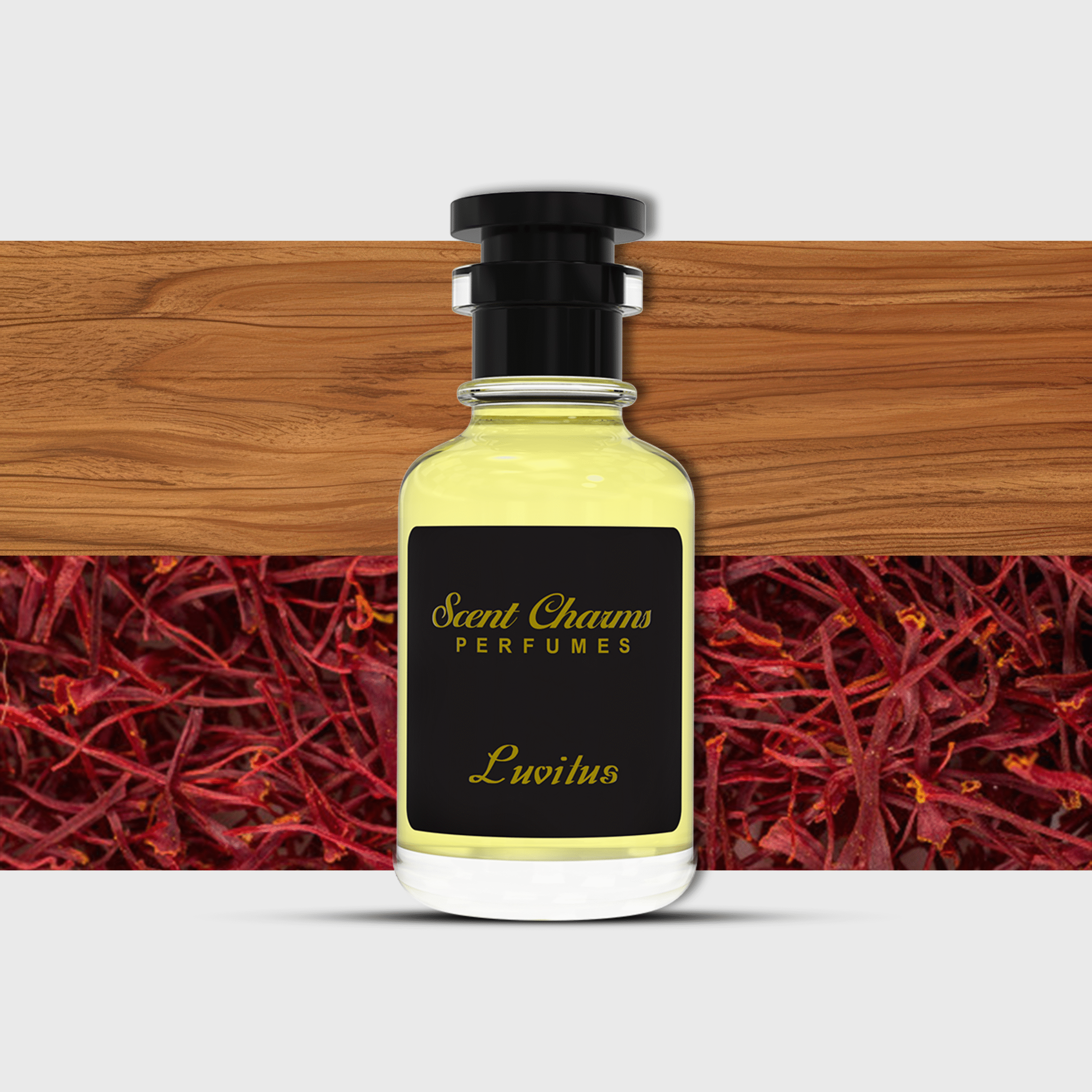 Luvitus – A Romance to Remember
