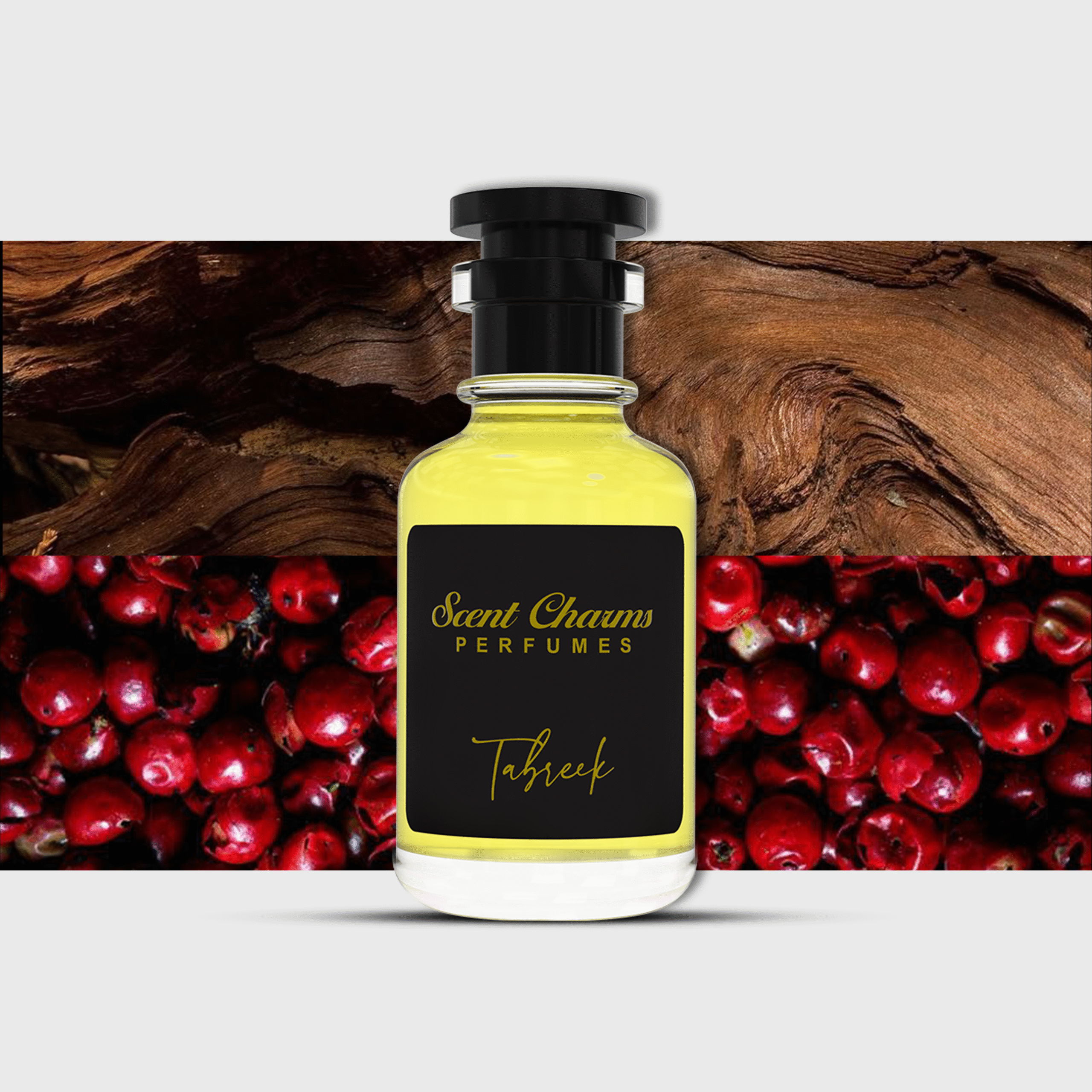 Tabreek – The Perfect Balance of Light and Depth.