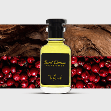 Tabreek – The Perfect Balance of Light and Depth.