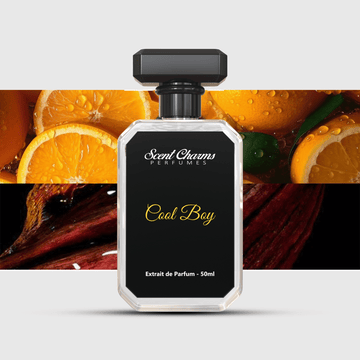 Cool Boy – The Scent of Ambition